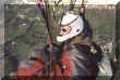 Involo2.jpg (30732 byte)