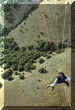 involotab.jpg (88262 byte)